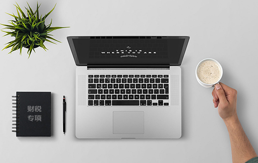 財(cái)稅專(zhuān)項(xiàng)審計(jì)